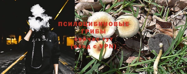 СК Абдулино
